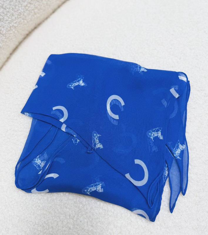 Celine silk scarf 40X175cm E070750